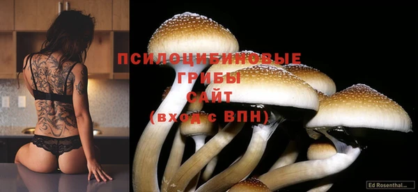меф Осташков
