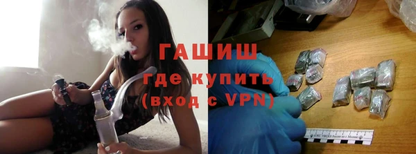 стаф Осинники