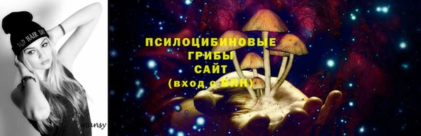 меф Осташков