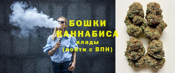стаф Осинники