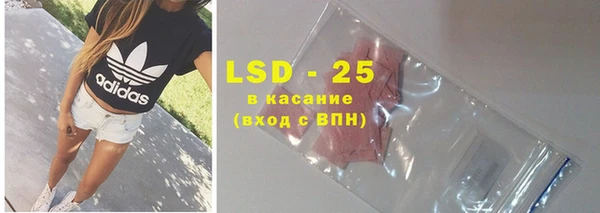 стаф Осинники