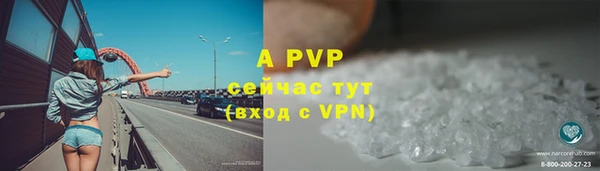 стаф Осинники