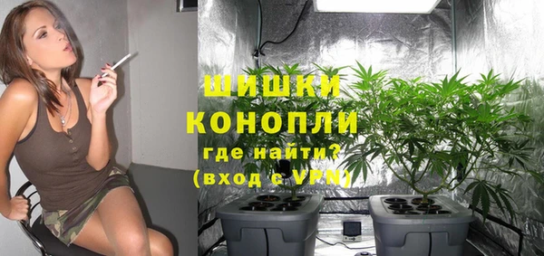 стаф Осинники