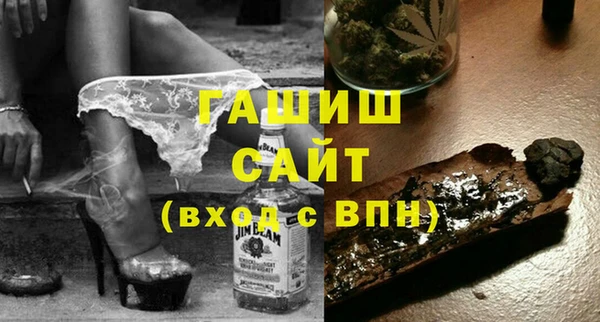 стаф Осинники