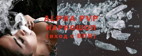 стаф Осинники
