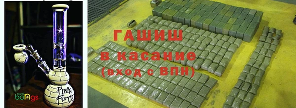 стаф Осинники